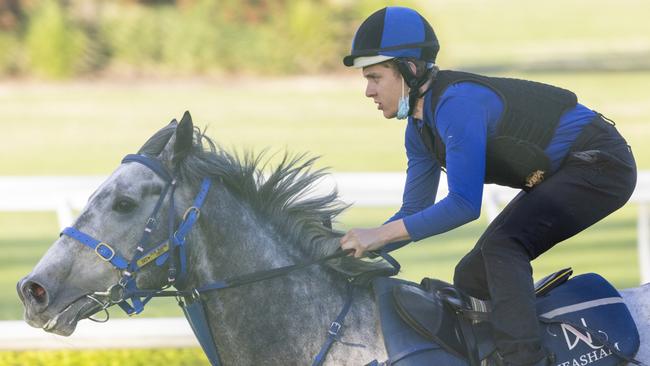 English import Top Ranked makes his Australian debut in The Hunter. Picture: Getty Images