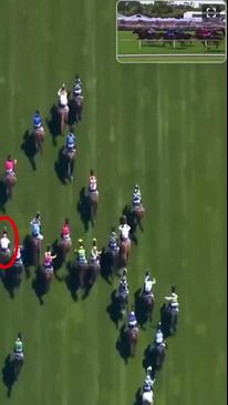 'Travesty' Three-time Melb Cup winner blows it