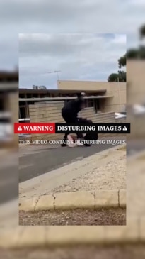 Videos of violent assaults in SA left unchecked on social media