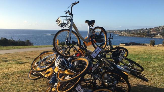 Bikes dumped at Coogee. Photo courtesy of Jeremy Scott