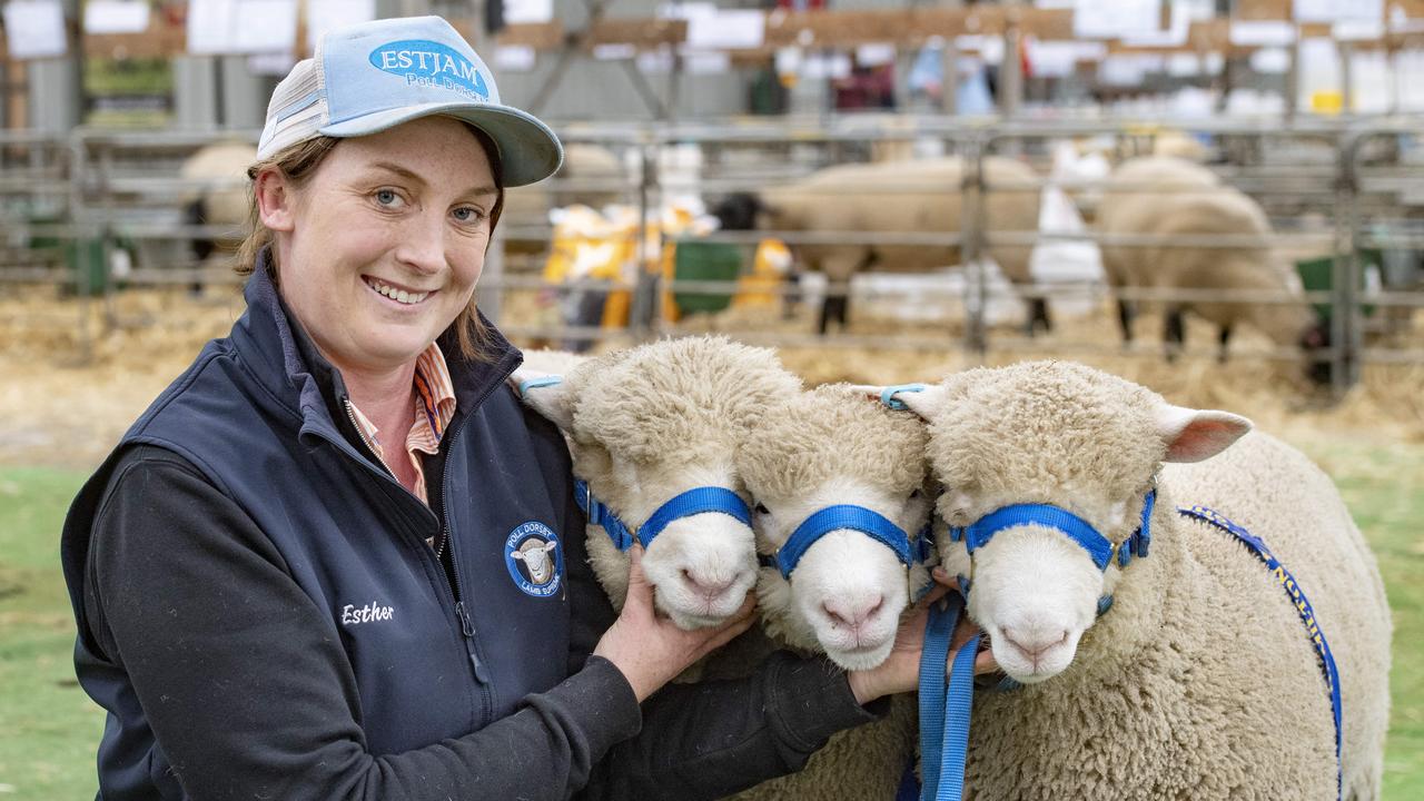 Sheep prices: Big crowds gather for Sheepvention in Hamilton | The ...