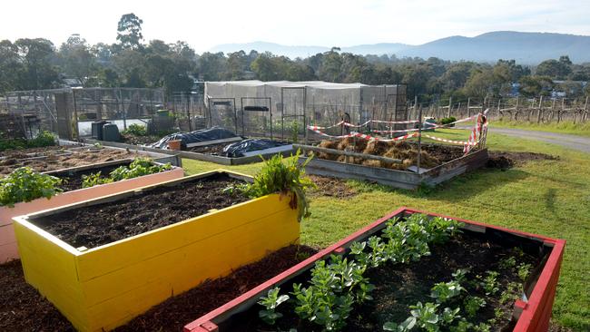 The Knox Community Gardens plots in Boronia.