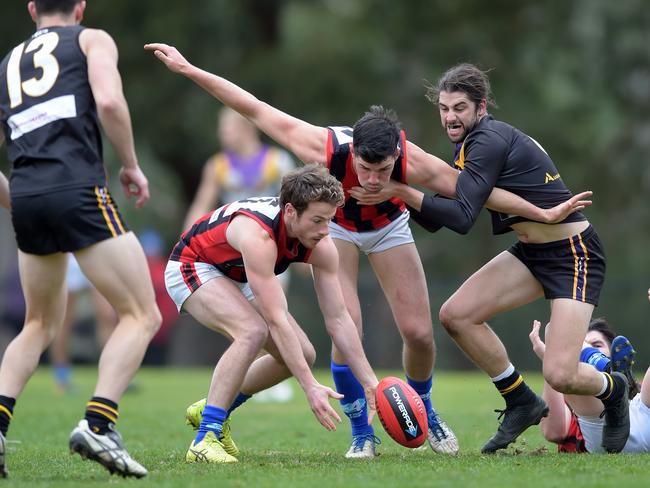 EFL (Div 1): Norwood versus Blackburn at Mullum Reserve, Ringwood.