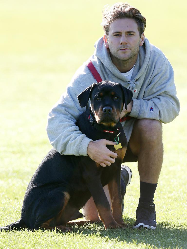 With pet rottweiler Hugo. His housemate Bailey Williams has Hugo’s brother, Barney. Picture: Michael Klein