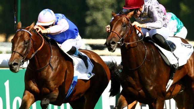 Tiberian (left) is a $21 chance in the Melbourne Cup.