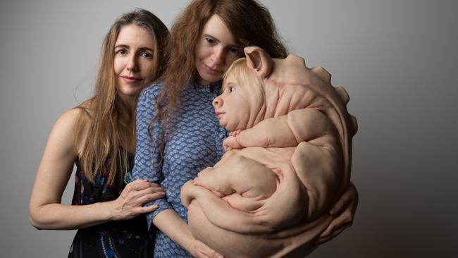 Patricia Piccinini&amp;#39;s Curious Affection solo exhibition to be shown at GOMA | The Courier Mail