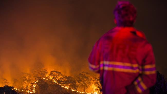 A firefighter waits on a ridge on Royal Oak Drive in Menai as a bush fire approaches homes. Picture by Damian Shaw