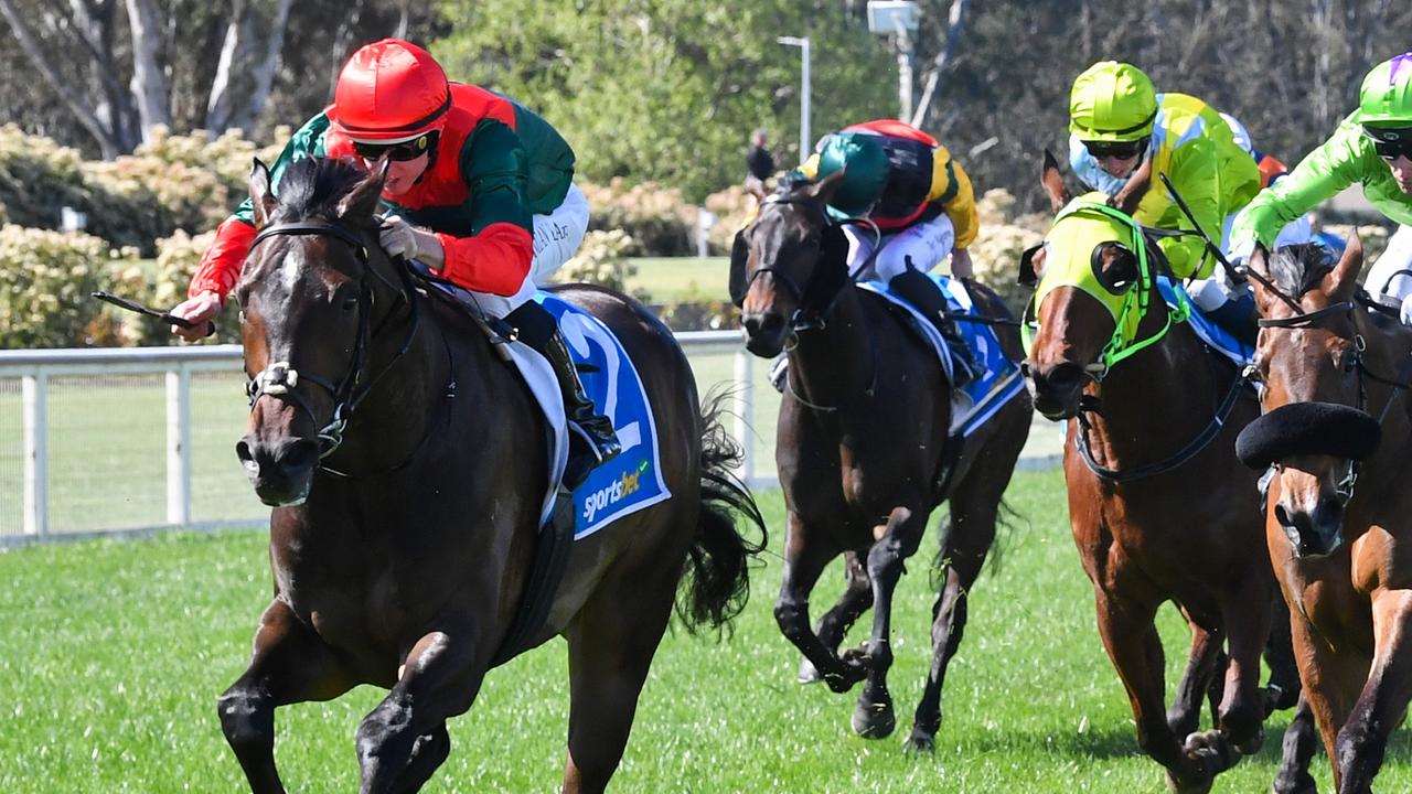 Jockey Damian Lane will again combine with progressive stayer Following Sea in the opening race of Wednesday’s Geelong Cup meeting. Picture: Racing Photos via Getty Images