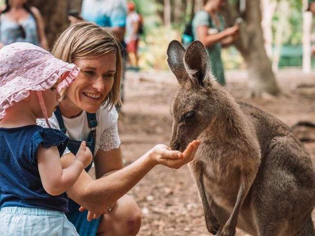 Animal encounters at Australia Zoo. Picture: Jesse Lindemann