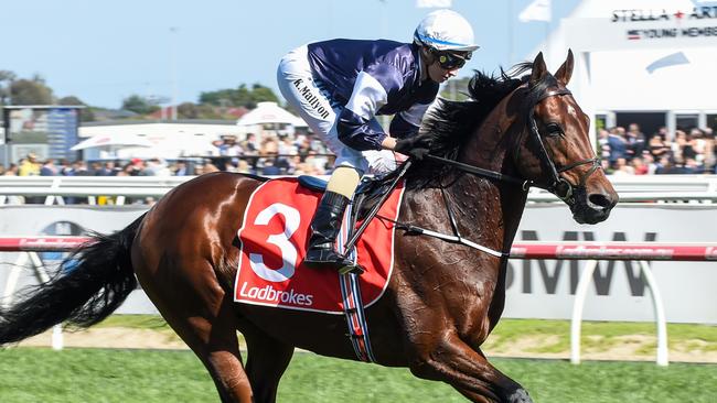 Johannes Vermeer surged to the top of Caulfield Cup betting after his slashing second in the Caulfiled Stakes last weekend.