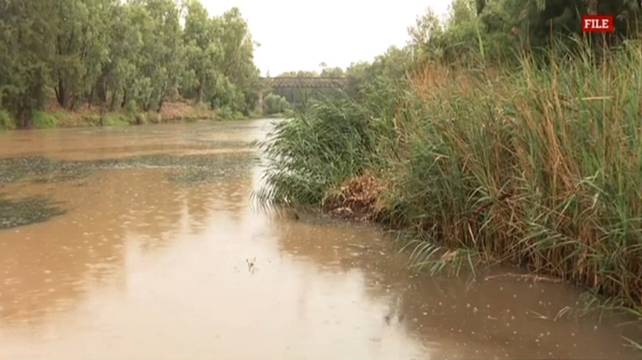‘It’s like farmer Christmas': Queensland and NSW welcome heavy rainfall