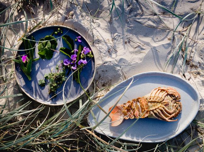 Lobster and beach plants from Pipit at Pottsville For Gold Coast Bulletin's Taste