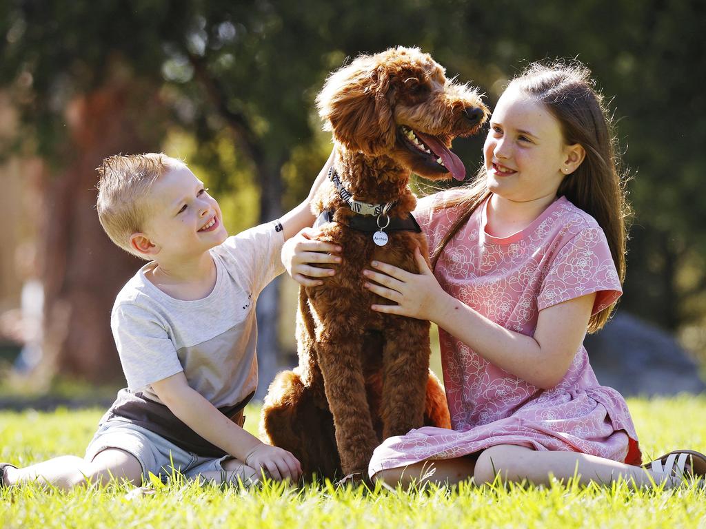 Archie the Groodle with owners Ashton Goodsell and Alyssa Goodsell in Mortdale. Picture: Sam Ruttyn