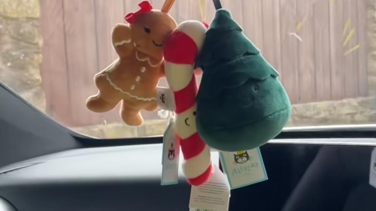 Now, a viral TikTok trend is putting the issue back in the spotlight. A soft toy brand Jellycat has become the must-have car decoration this Christmas. You’re probably wondering what or who is Jellycat? Jellycat sells adorable designs from bunnies to fruit and vegetable characters.