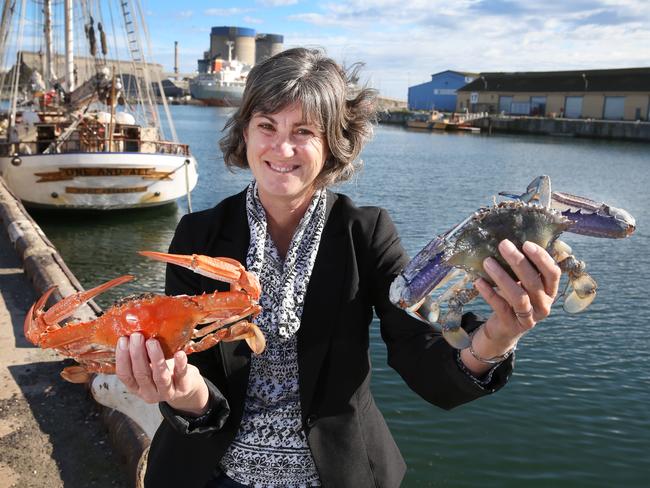 <s1>Karen Holder, from Australia’s largest blue swimmer crab fishing business, is keen to see a fish market at Dock Two.</s1>                        <source> Picture: aap/dean martin</source>