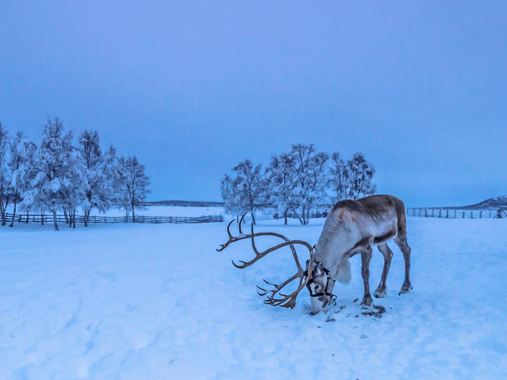 Northern Lights Norway: Best time to see, ice hotel | escape.com.au