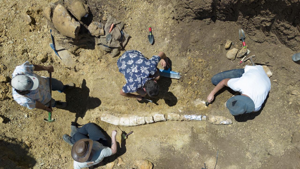 QLD Museum dig site of a Plesiosaur near Mckinlay, QLD. Photo – Peter Wallis