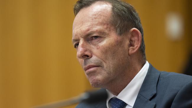 Former Liberal prime minister Tony Abbott criticised Matt Kean for what he called a ‘factional stitch up’ in the NSW MP’s seat of Hornsby. Picture: Martin Ollman