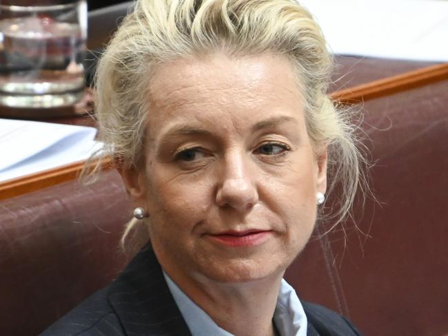 CANBERRA, Australia - NewsWire Photos - October 9, 2024:  Senator Bridget McKenzie during Question Time at Parliament House in Canberra. Picture: NewsWire / Martin Ollman