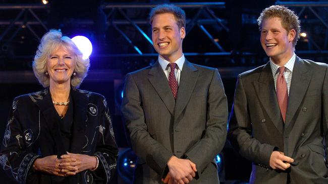 Camilla, Prince William and Prince Harry on stage at the Princes Trust 30th Birthday concert at the Tower of London in 2006.