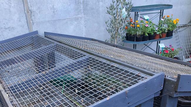 The shelves at The Gardeners Corner Store are bare after DIY gardeners bought up on seeds and seedlings.