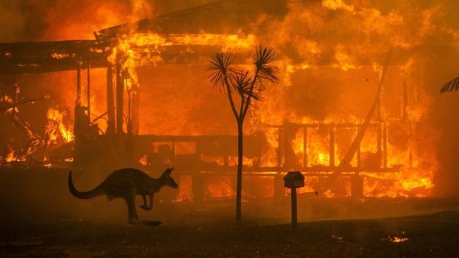 An evocative scene of the summer bushfires as kangaroo passes a burning house at Conjola. Picture: Matthew Abbott