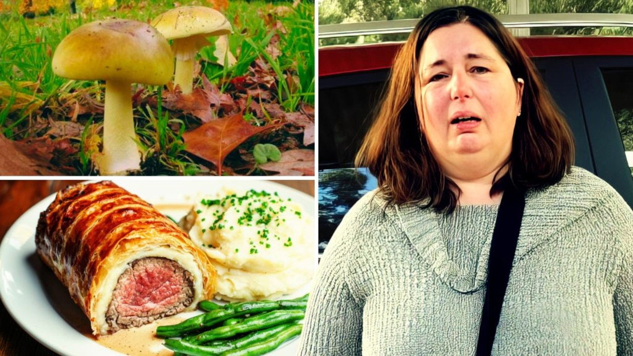 Erin Patterson’s phone pinged near death cap sites in months before deadly lunch