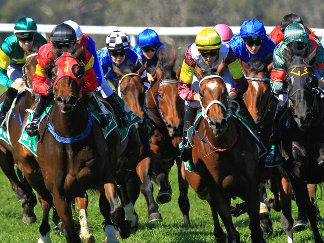 Grafton, Queanbeyan tips: Jasmine to blossom in homecoming