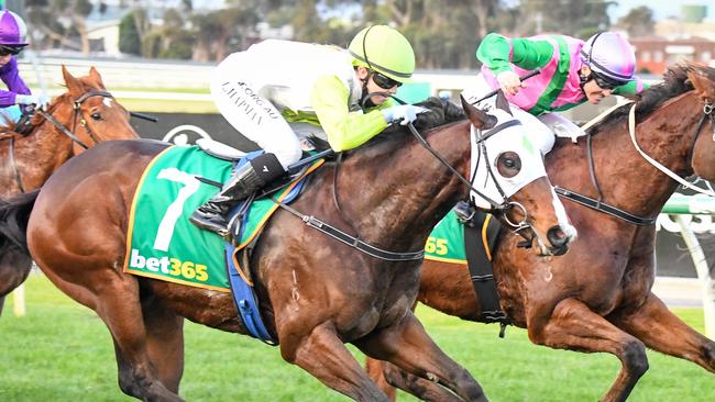 Typhoon Harmony gave Tianni Chapman her first winner. Picture: Racing Photos via Getty Images