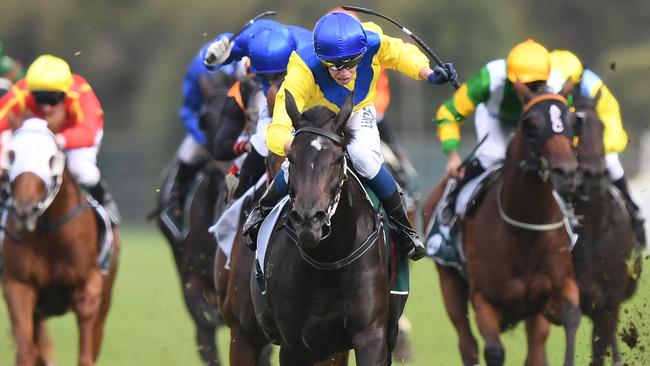 Hiyaam has been well backed to follow up her Vinery Stud Stakes in with a victory in the ATC Australian Oaks. Picture: AAP