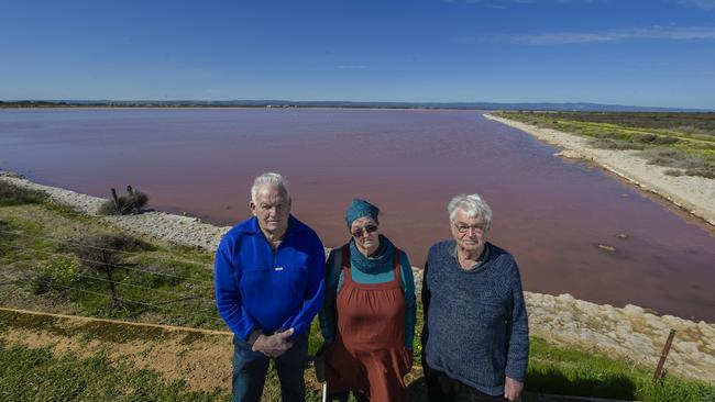 St Kilda residents Lindsay Virgo, Peri Coleman and Kevin Collins at the pink lake. Picture: Roy VanDerVeg