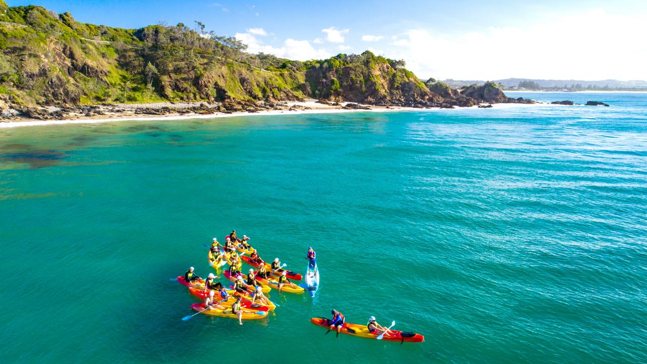 That’s one way to meet the water locals of Byron Bay.