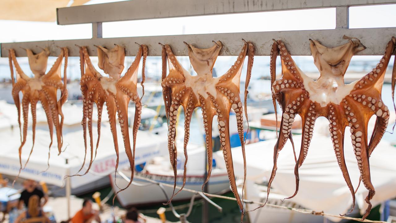 Octopus hanging out to dry in a row outside a taverna in Chania, Crete in Greece. Picture: Getty Images