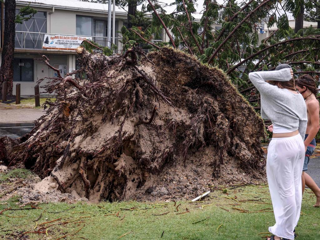 A young boy and girl look at an uprooted tree in front of the Miami Beach Surf Lifesaving Club. Picture: DAVID GRAY / AFP