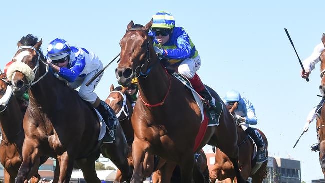 Shock 'Em Ova will step up to Group 2 company for the first time in Saturday's Zipping Classic at Caulfield. Picture: Racing Photos via Getty Images