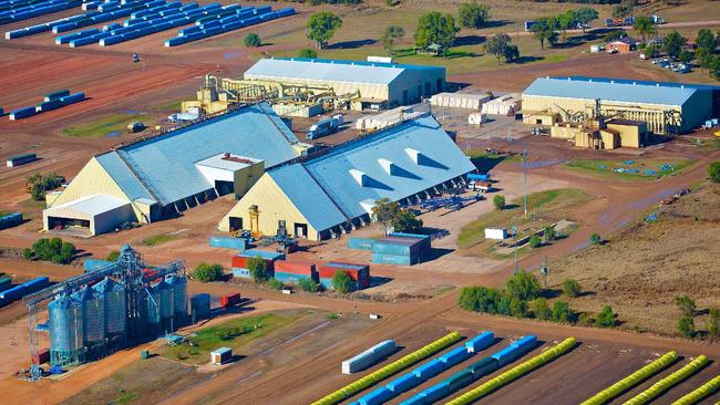 A bidding war for Namoi Cotton has reached a new high of almost $145 million. Picture: Supplied.