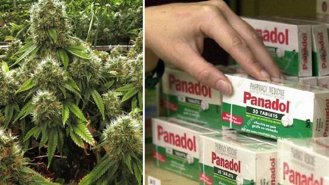 Authorities are likely to accept that you are stockpiling commercial quantities of medicinal marijuana.