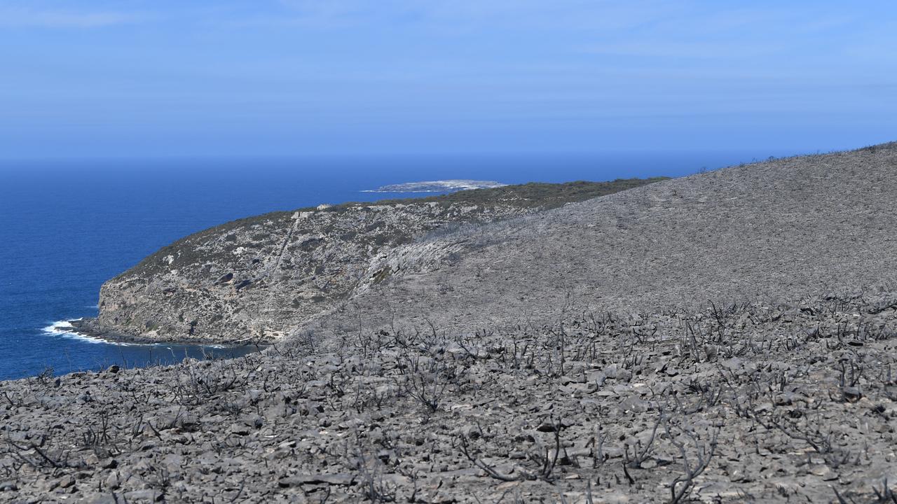 Flinders Chase National Park after bushfires swept through on Kangaroo Island, southwest of Adelaide, Tuesday, January 7, 2020. Picture: AAP /David Mariuz