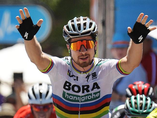 ADELAIDE, AUSTRALIA - JANUARY 19: Peter Sagan of Slovakia and Bora-Hansgrohe celebrates after crossing the finish line to win stage four of the 2018 Tour Down Under on January 19, 2018 in Adelaide, Australia.  (Photo by Daniel Kalisz/Getty Images)