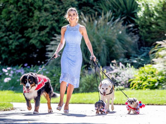 Model Alex Hecker with Bently, Harry, Willow and Maisey in designer outfits. Picture: Tim Caraffa