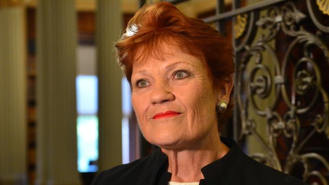 MELBOURNE, AUSTRALIA - NewsWire Photos DECEMBER 20TH, 2022: Pauline Hanson speaks to the media at Victorian Parliament. Picture: NCA NewsWire / Nicki Connolly