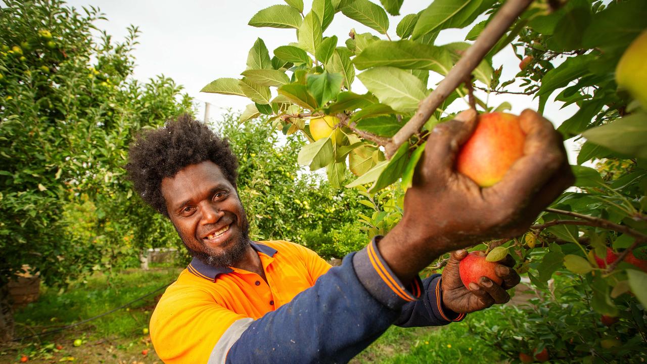 Pacific visa scheme at ‘low point’ as 20 workers die