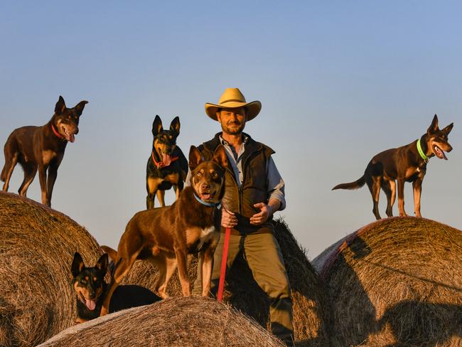 Aussie pedigree … kelpie breeder Joe Spicer from Muster Dogs series one. Pic: Steve Strike