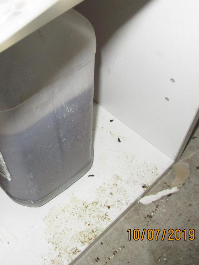 The Brisbane City Council found rodent faeces in the storage area and kitchen.