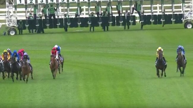 Major Beel (yellow) and Pride Of Jenni race wide at the start of the King Charles III Stakes at Royal Randwick. Picture: supplied