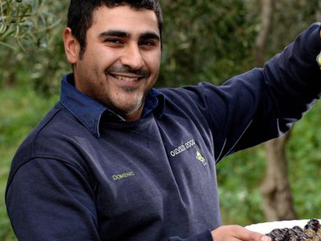 Domenico Catanzariti Adelaide olive grower.Image: Adelaide Advertiser