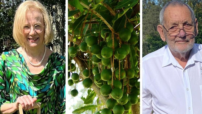 Retired Gympie farmer Ian McConachie grew the macadamia tree planted by Governor Dr Jeanette Young on November 1, 2022, to honour the late queen.