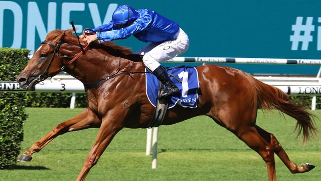 With a perfect Randwick record, classy colt Paulele looks hard to beat in the Eskimo Prince Stakes. Picture: Grant Guy