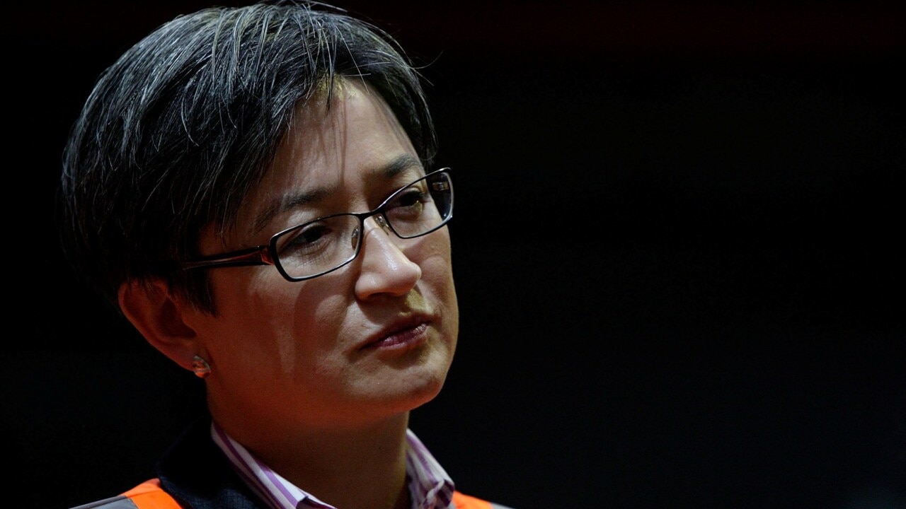 Penny Wong is ‘damaging’ Australia’s position on China for ‘domestic partisan purposes’