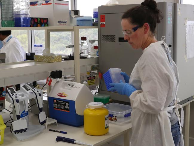 Scientists at work in the CSIRO's high-containment facility in Geelong, Friday, January 31, 2020. CSIRO, Australia's national science agency, has commenced key research in the rapid global response to the novel coronavirus outbreak. (AAP Image/David Crosling) NO ARCHIVING